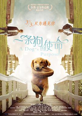 一区二区三区精品国产